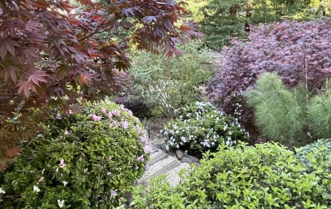 Mill Valley, CA 94941 photo 1