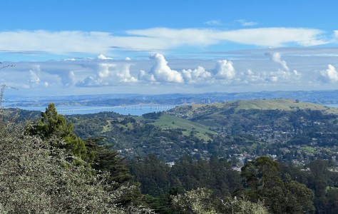 Mill Valley, CA 94941 photo 1