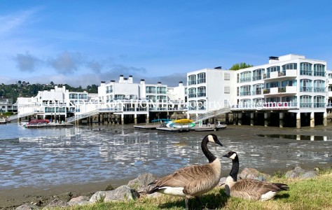 Mill Valley, CA 94941 photo 1